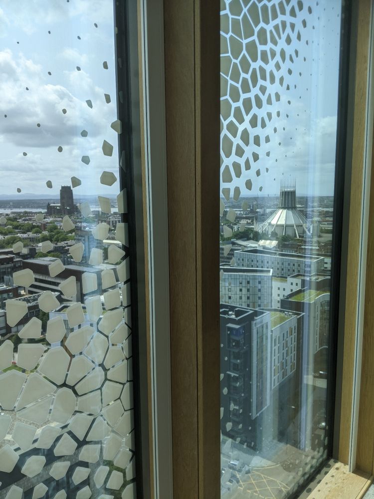 A view out of the windows from the top floor of The Spine - there is a cathedral either side of the window partition, the Anglican Cathedral to the left and the Metropolitan Cathedral to the right