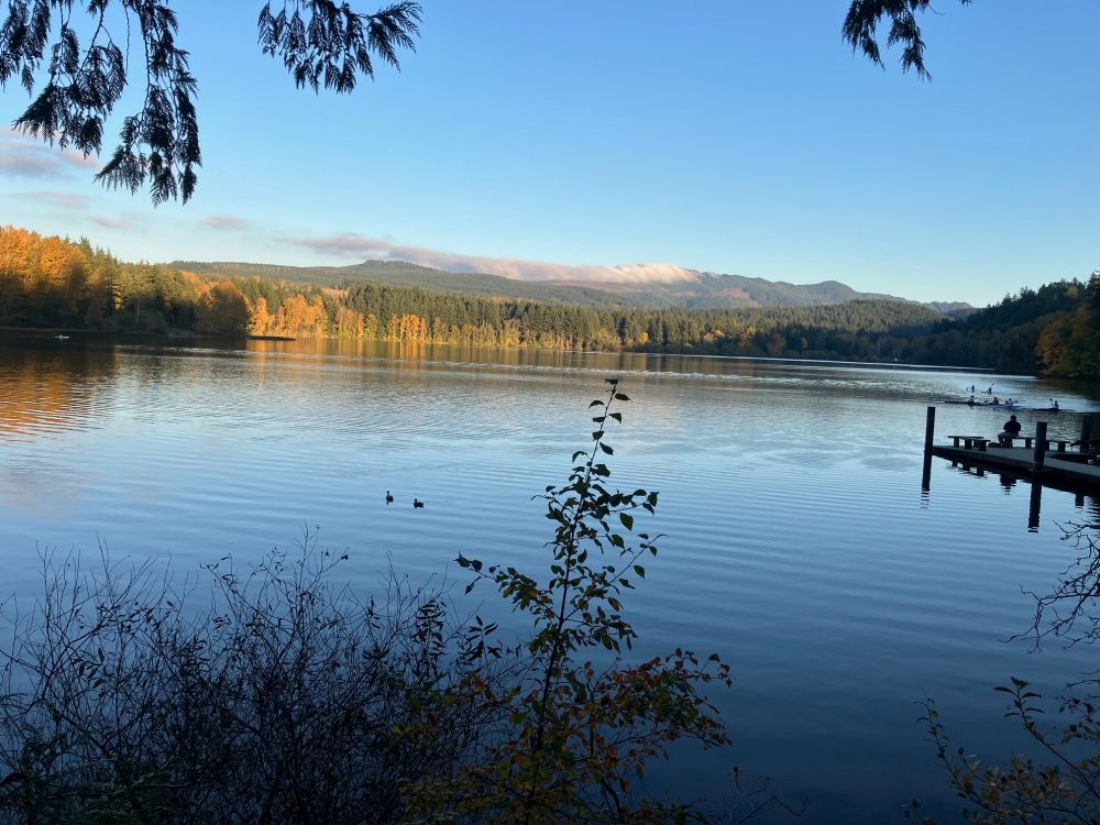 Sunset shot of a municipal lake with a treed hill in the background with sunset fog hugging a saddle. 