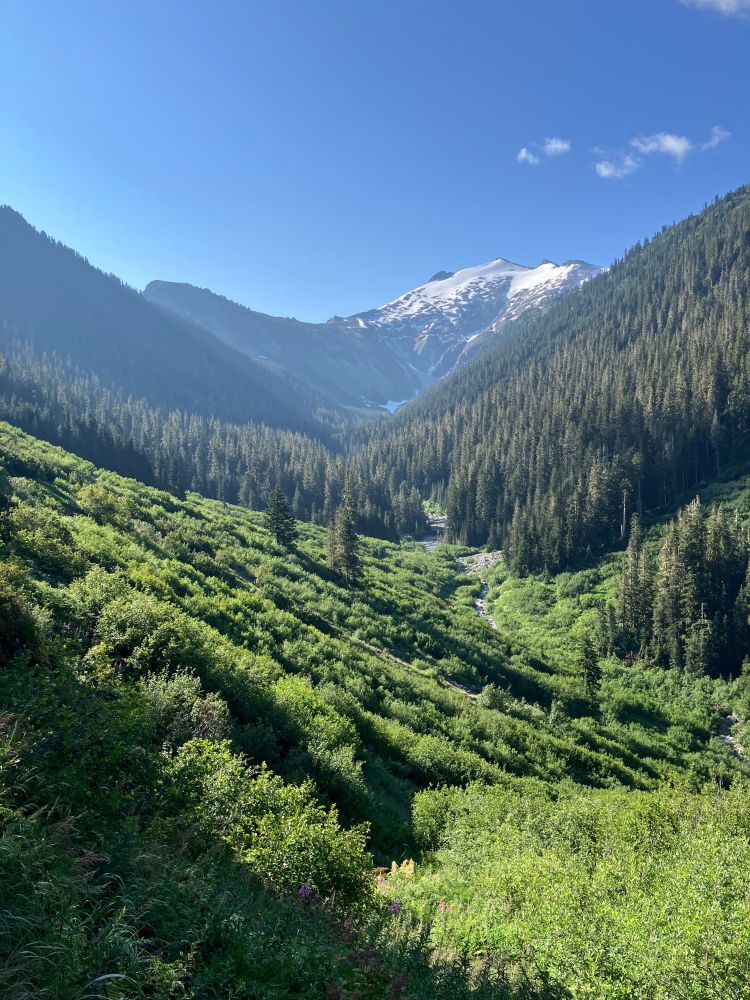A gorgeous river valley morning in the North Cascades. 