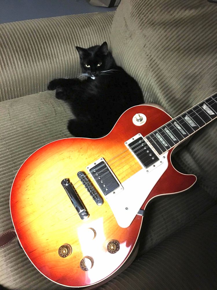 Tuxedo cat with sunburst les paul