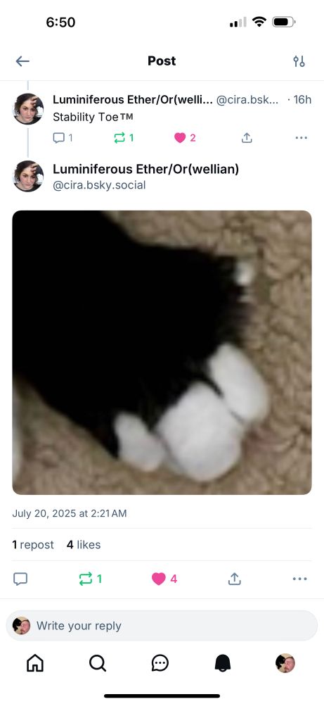 Luminiferous Ether/Orwellian Picture of b&w cat paw “Stability Toe™️”