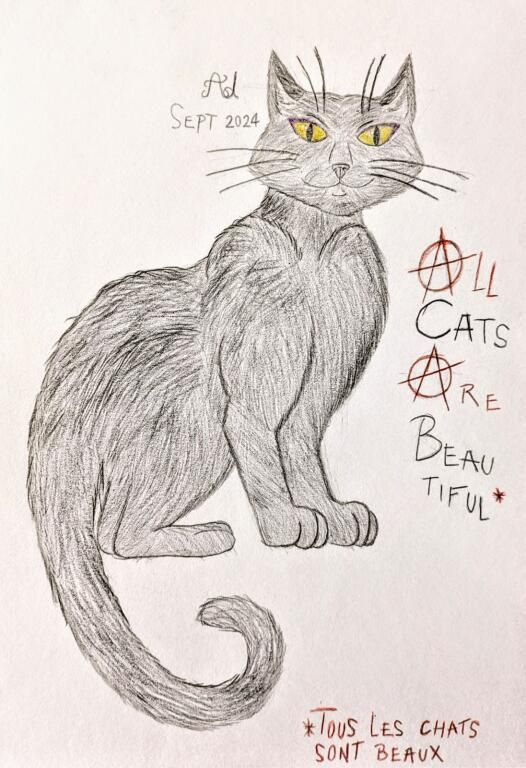 A drawing, signed "AD" (for Aëdell Dreamleaf, the artist) and dated to "Sept 2024". It depicts a smiling black cat, sitting and looking at us with their big and mischievous golden eyes. On their left is written, vertically "All Cats Are Beautiful", with the first letter of each word (A,C,A,B respectively) being written in capital. The two "A" being" are drawn like the A of Anarchy.
