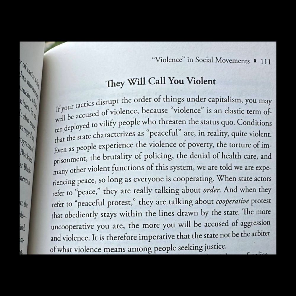 They Will Call You Violent
If your tactics disrupt the order of things under capitalism, you may well be accused of violence, because "violence" is an elastic term of. ten deployed to vilify people who threaten the status quo. Conditions that the state characterizes as "peaceful" are, in reality, quite violent.
Even as people experience the violence of poverty, the torture of imprisonment, the brutality of policing, the denial of health care, and many other violent functions of this system, we are told we are experiencing peace, so long as everyone is cooperating. When state actors refer to "peace," they are really talking about order. And when they refer to "peaceful protest," they are talking about cooperative protest that obediently stays within the lines drawn by the state. The more uncooperative you are, the more you will be accused of aggression and violence. It is therefore imperative that the state not be the arbiter of what violence means among people seeking justice.