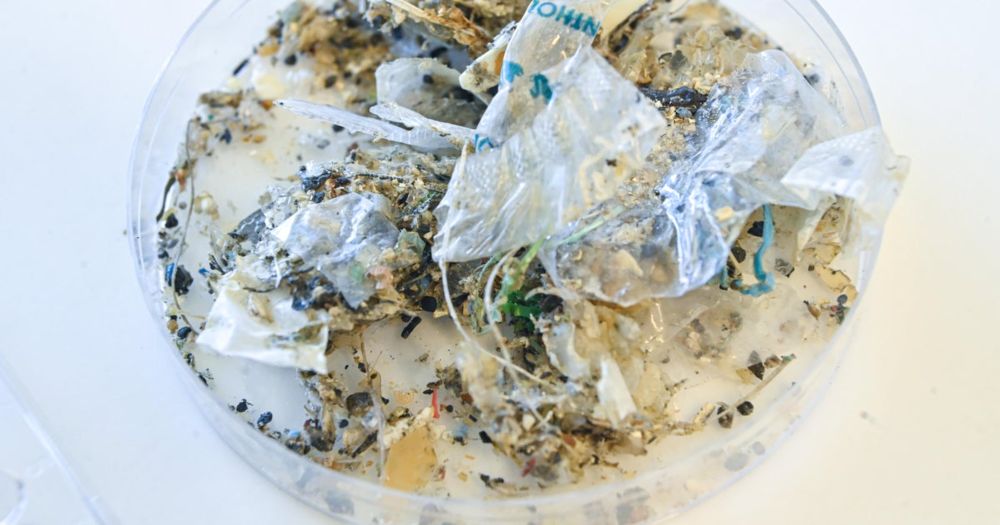Plastic pollution is a "grave, growing and under-recognized danger" to health that is costing the world at least $1.5 trillion a year, a report in the Lancet medical journals warns