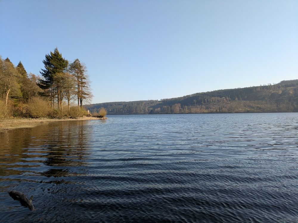 A view out across a lake from the shore. In the foreground a small peninsula is visible covered in trees and brush. In the background, the opposite shore is covered with dense coniferous woodland.