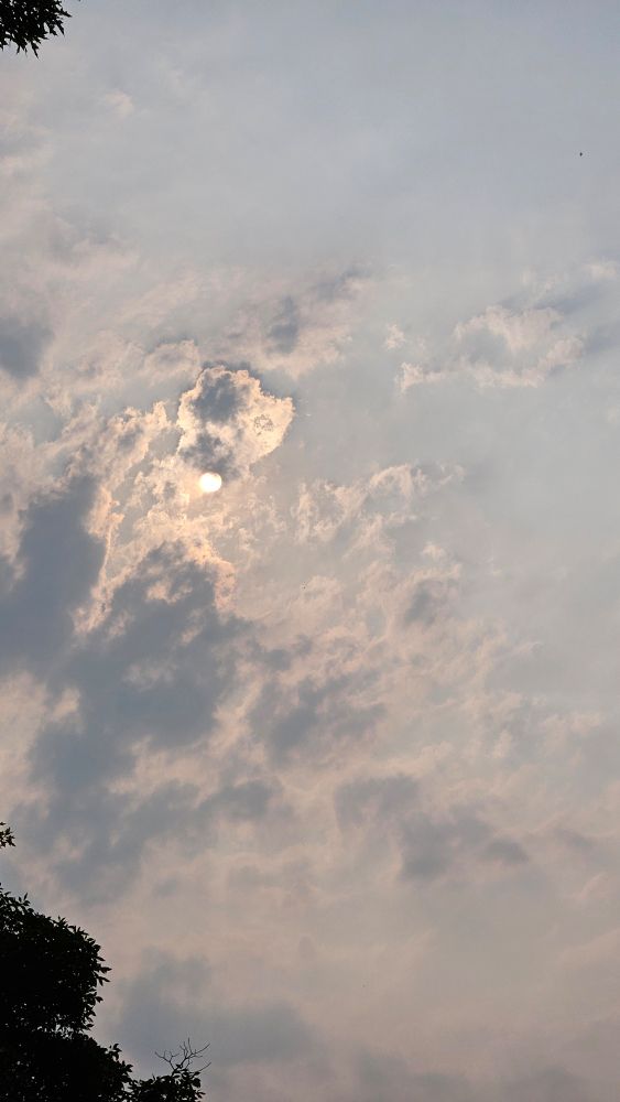 Photo of an light orange sun partially obscured by clouds in a gray sky