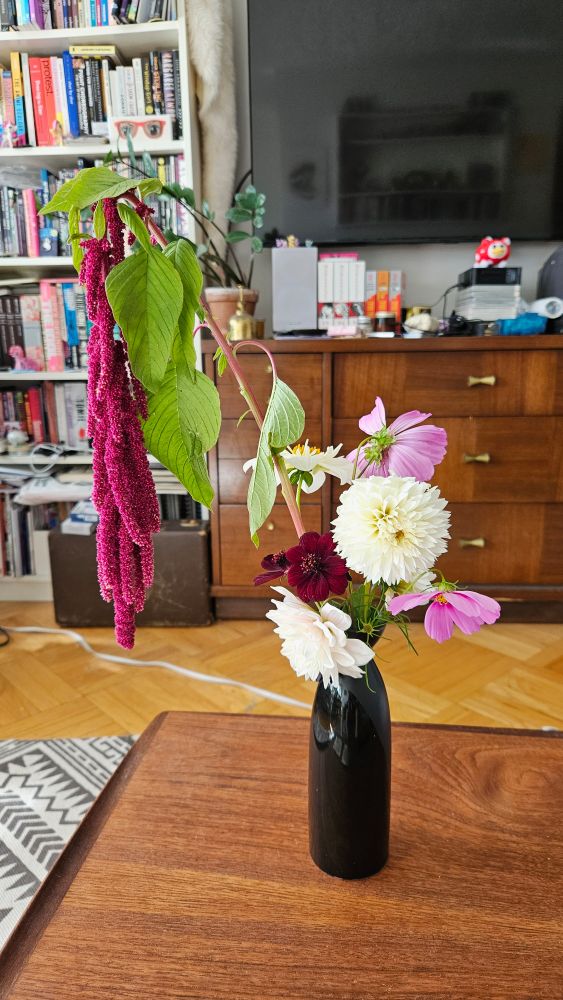 I don't know what most of these flowers are, but there are some pink, white, and chocolate cosmos, some white snowball-shaped flowers, and a stem with hanging dark magenta flowers. They're in a black sake carafe.