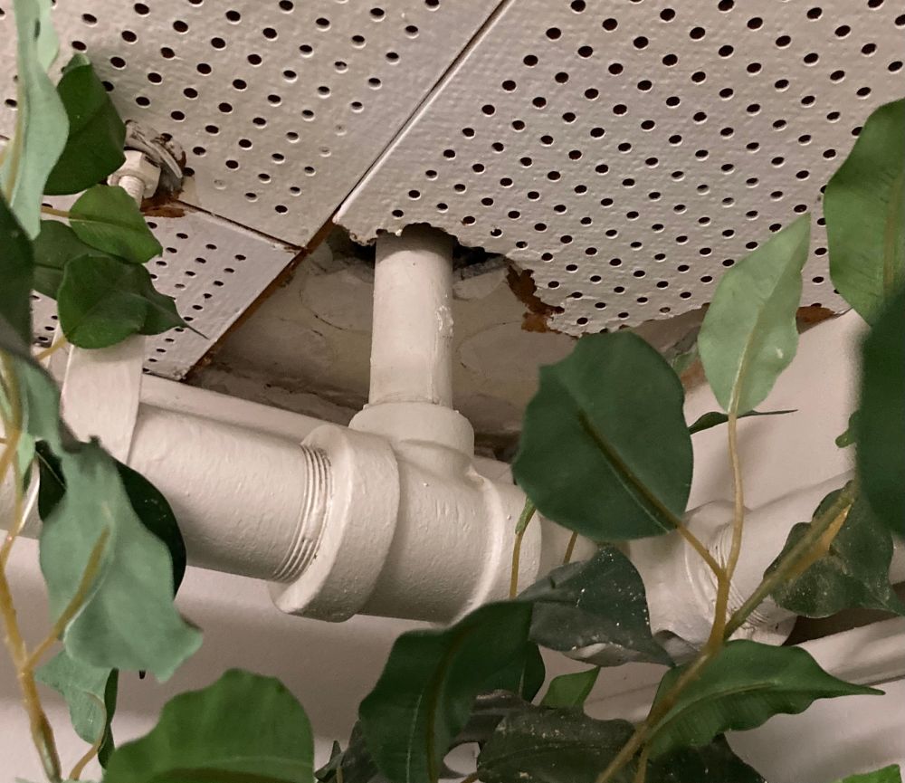 Pipes and broken ceiling tiles partially concealed by fake plant