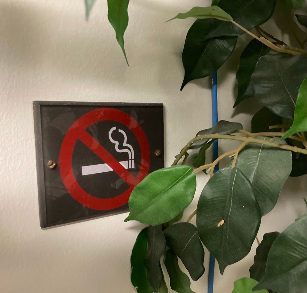 No smoking sign partially concealed by fake plant