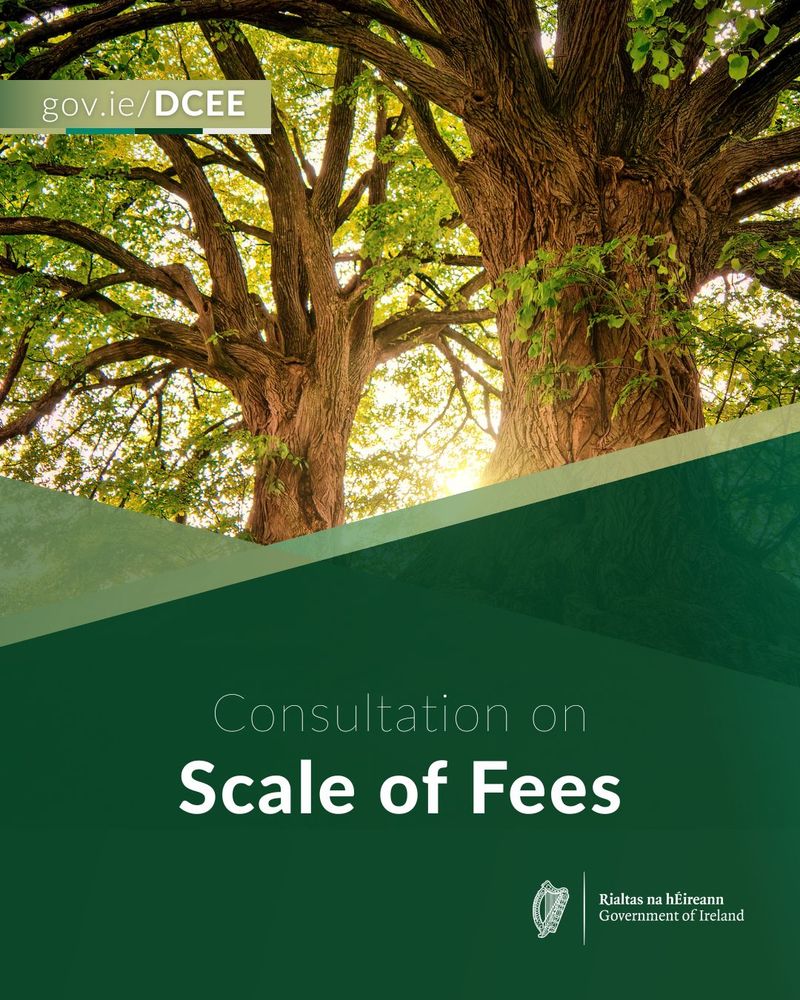 Official government document from gov.ie/DCEE titled "Consultation on Scale of Fees" featuring a large tree in the background. The logo of Rialtas na hÉireann, Government of Ireland, is displayed at the bottom.