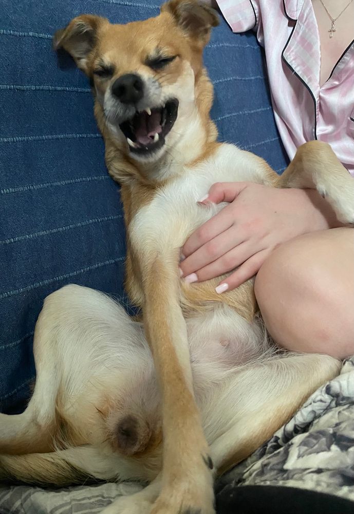 Fläng jycke