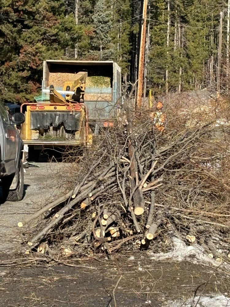 A brush pile during a free chipping day event in Lac Le Jeune that took place in November of 2024.