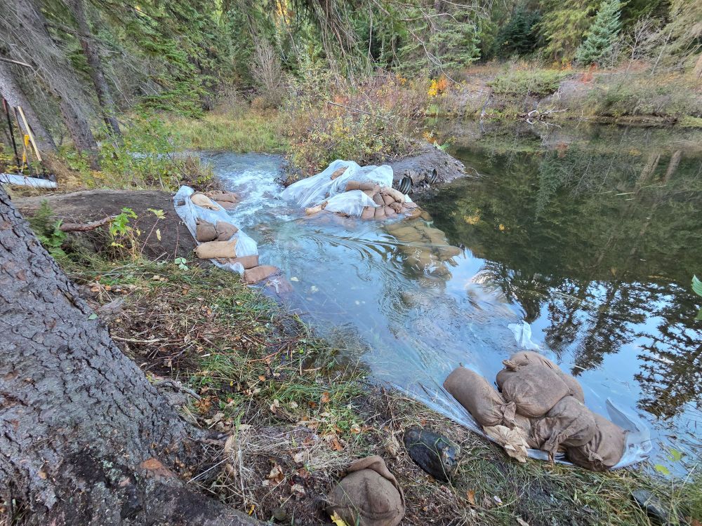 A channel for water to flow and gradually recede around an unauthorized dam built at the outlet of Fadear Lake. Taken on October 12, 2025.