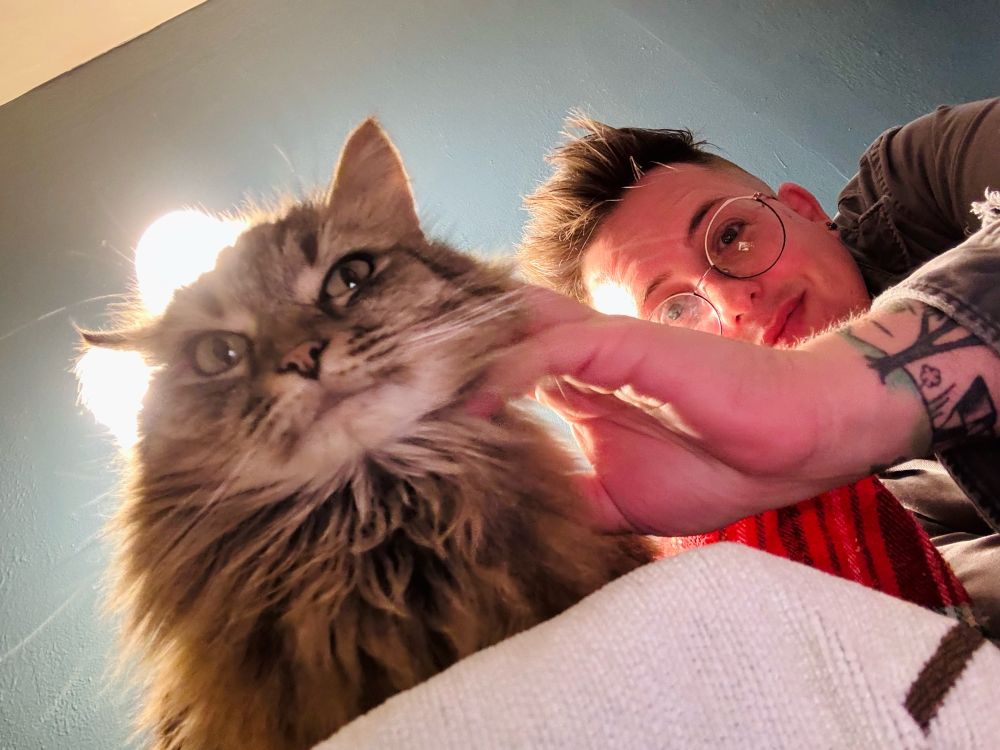 A long haired tabby cat being pet by a short haired person with glasses. 