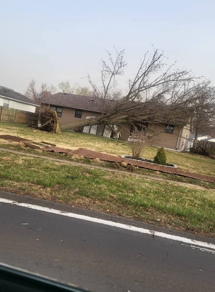 Picture of a house and yard with a damaged/fallen wooden fence and a tree uprooted and fallen on the house. 