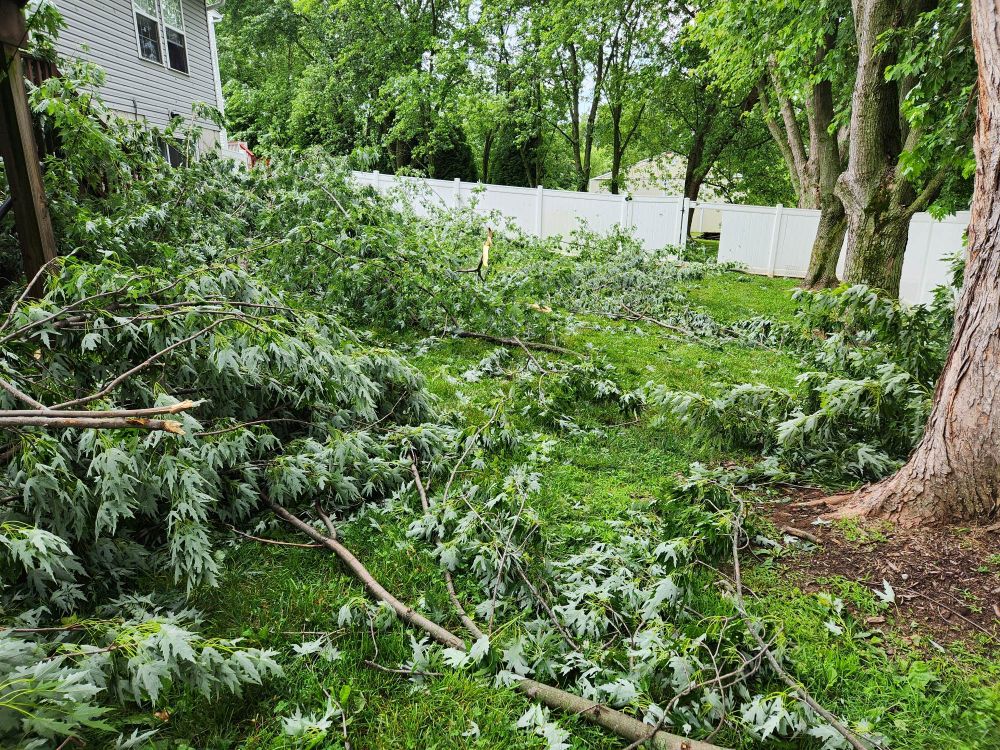 Picture of storm damage in a backyard. Large tree limbs are down all over and have caused damage to the yard and fencing.