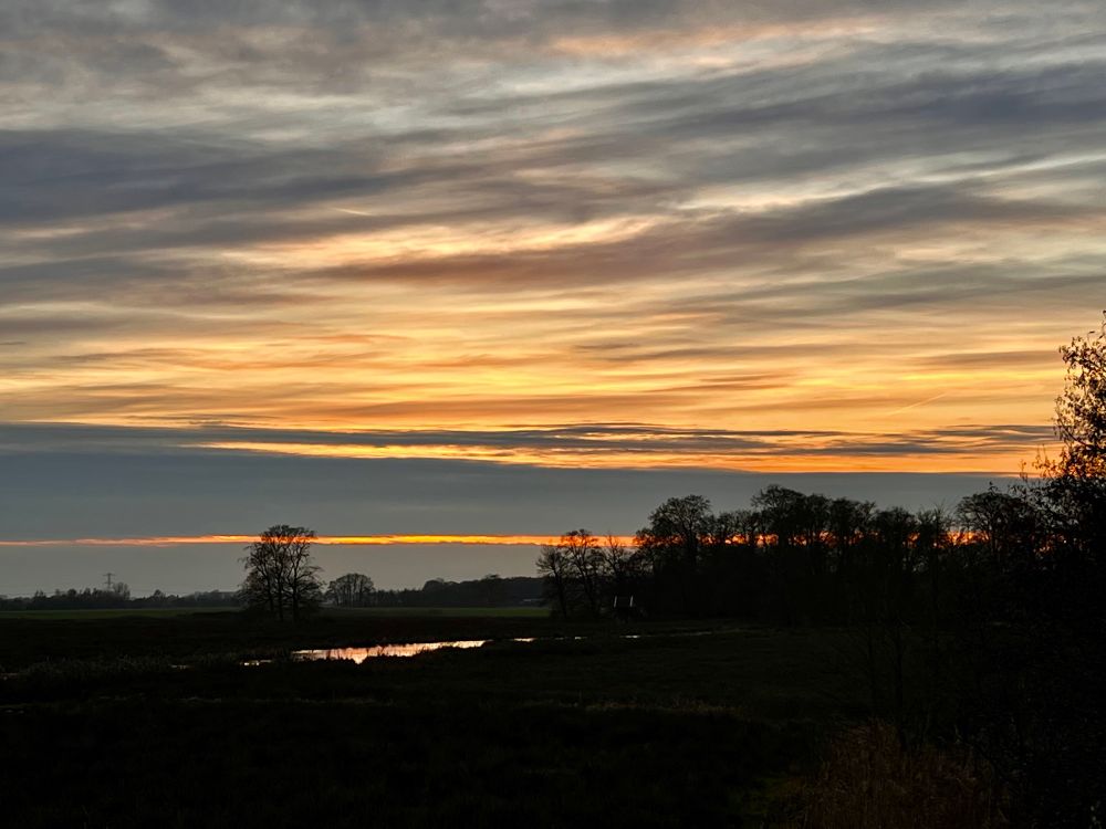 Zonsondergang boven een landschap. Je ziet een uitgestrekte vlakte met wat bomen in de verte en een paar kale bomen dichterbij. Aan de horizon is een smalle, heldere oranje streep te zien waar de zon net onder is gegaan. De lucht is gevuld met wolken in verschillende tinten grijs, blauw, geel en oranje, wat zorgt voor een warme maar ook rustige sfeer. Onderaan zie je een donker silhouet van het landschap, met een reflectie van de lucht in een plas water. Rechts zie je nog enkele struiken of bomen aan de rand.