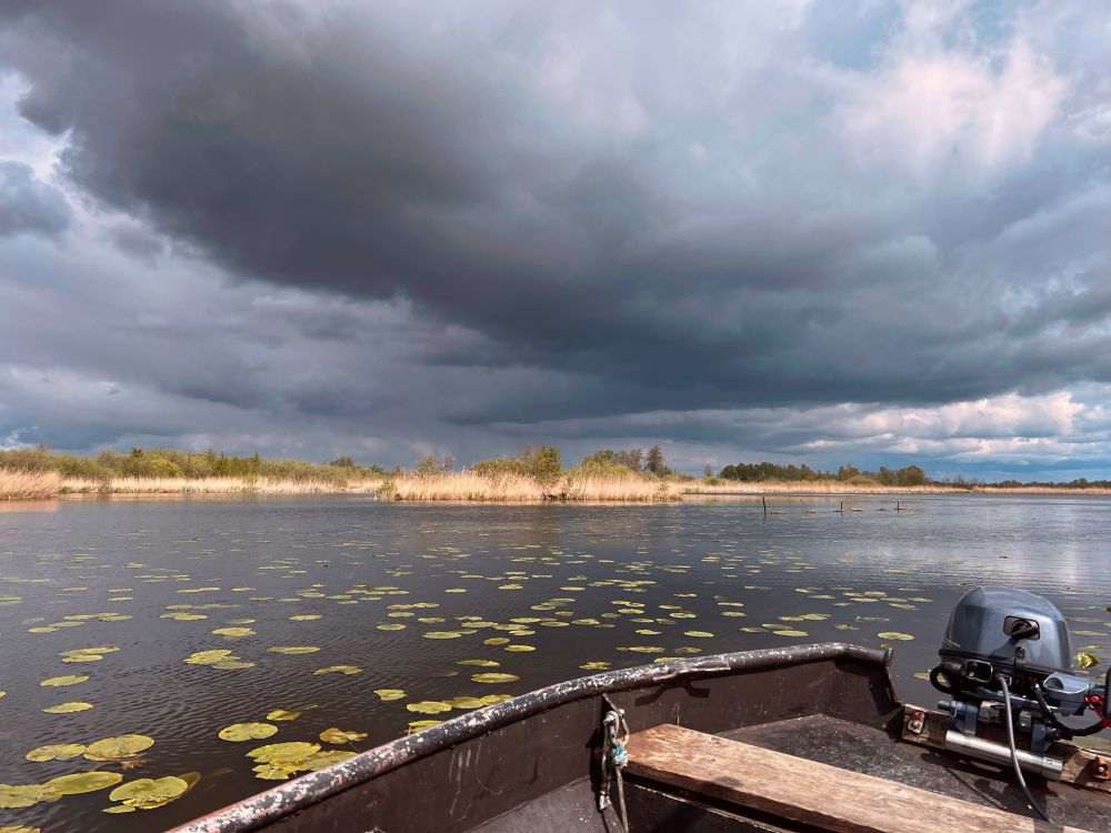 Uitzicht vanaf een boot op een groot meer met waterlelies. De boot is deels zichtbaar op de voorgrond, met een buitenboordmotor aan de achterkant. Rondom het meer groeit riet en lage struiken, en in de verte zijn wat bomen te zien. Aan de lucht hangen zware, donkere onweerswolken, wat een dreigende sfeer aan het landschap geeft. Het licht is aan het veranderen door de wolken, waardoor delen van het landschap en het water opgelicht worden, terwijl andere delen donkerder zijn.