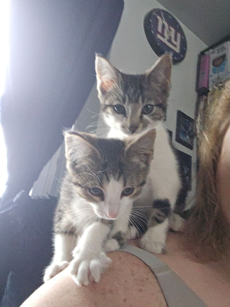 The original mugshots.