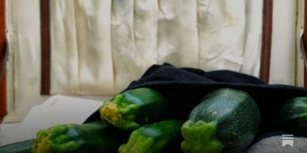 Courgette Summer