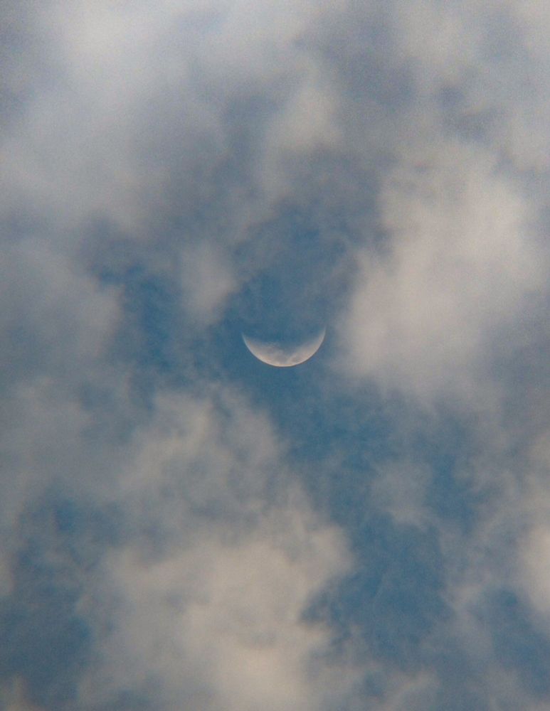 Fotografia de um céu coberto por nuvens cumulus com pequenas aberturas que mostra o seu fundo azul. No centro de uma dessas aberturas está a Lua Crescente quase em seu primeiro quarto