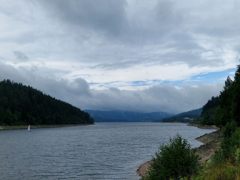 A picture of a lake with a forested shore. The sky is overcast.