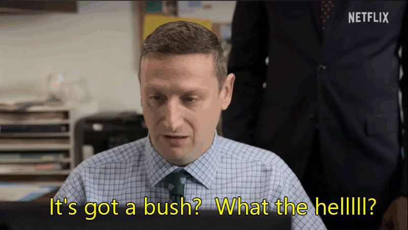 Tim Robinson from I Think You Should Leave saying "It's got a bush, what the helllll?"
