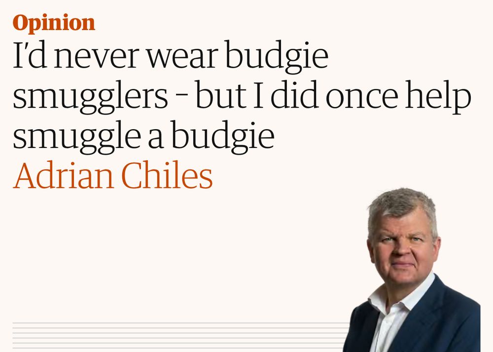 Opinion
I'd never wear budgie
smugglers - but I did once help smuggle a budgie
Adrian Chiles