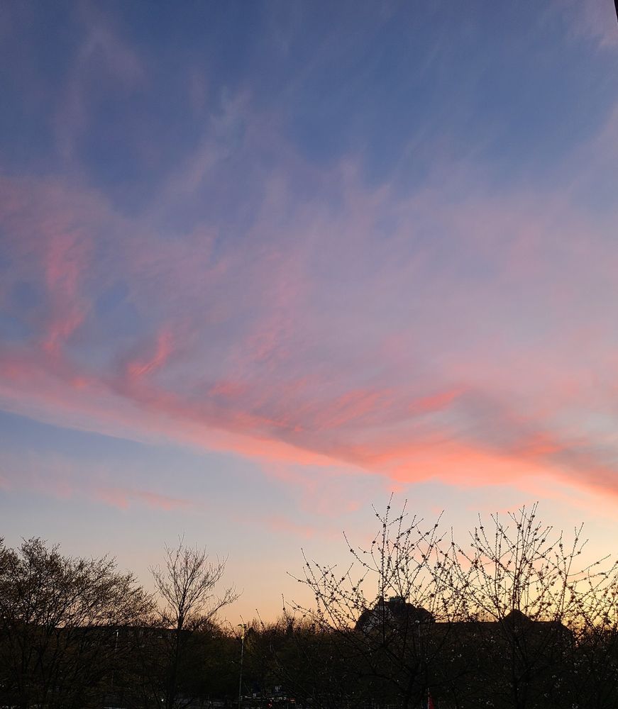 Rosa Wolkenschleier in der Abenddämmerung über Hamburg.