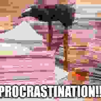 Heavily compressed image of a pukeko chick surrounded by piles of paper with the text "Procrastination!!" in all caps impact font on the bottom.