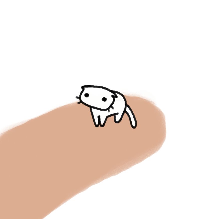 Small white cat with black outlines on finger.