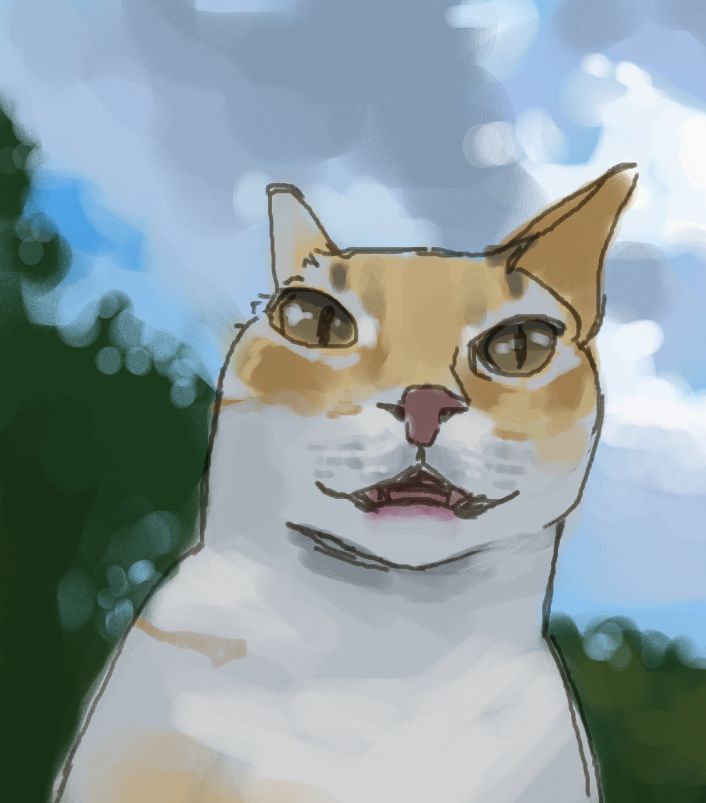 Drawing of an orange and white cat. There are clouds and trees in the background.