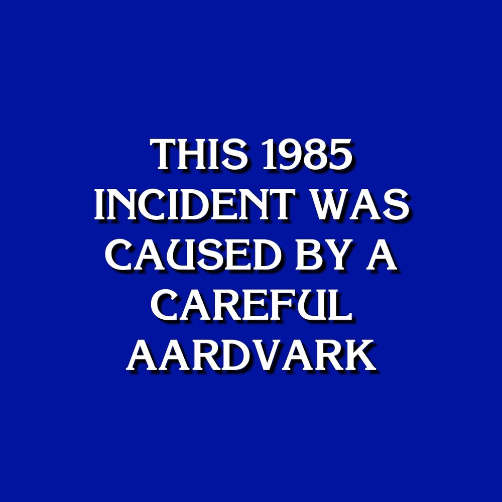 THIS 1985 INCIDENT WAS CAUSED BY A CAREFUL AARDVARK