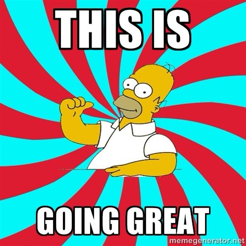 A picture of Homer Simpson with the caption “This is going great.”