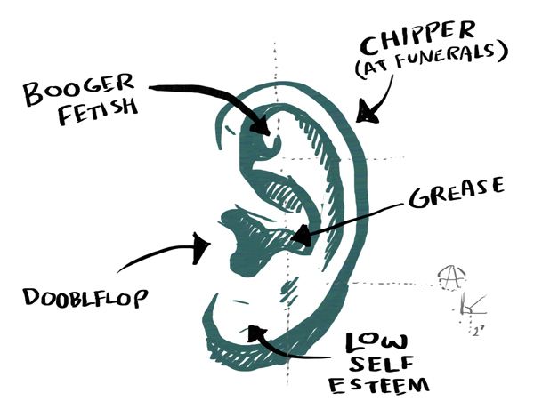 Sketch of a human ear with parts labelled things like booger fetish, low self esteem, and doobleflop.