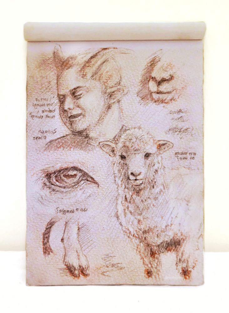 A page of sketches done in red and white chalk and pencil. Clockwise from the top right are the following drawings: a sheep snout, sheep fur, a sheep facing forward, a scribble, a sheep's hoof and a piece of frayed rope, a sheep's eye, and Zedaph's head. Zed is smiling with his eyes closed and has a short, curved pair of horns and sheep ears. Scattered through the drawing are phrases written backwards. The one above the forward facing sheep says "Is it looking at me?", the one near the sheep's hoof says "Does it dangle?" and the ones near Zed's head say "Zedaph Plays" and ""I sort of say things before I think things"" which is a quote from Zed from when he went on the Imp and Skizz podcast. The sketchbook is standing on a white table and leaning back against a white wall.