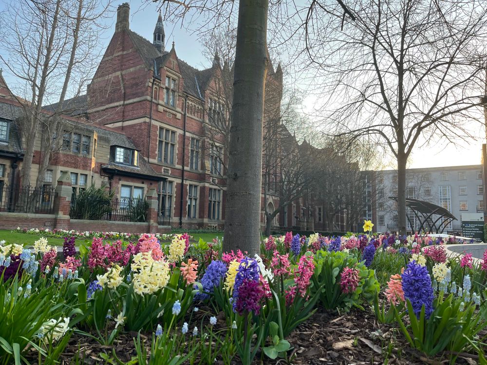 Baines Wing University of Leeds and Spring flowers