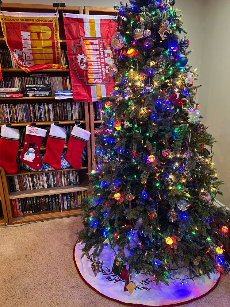 Willett family Christmas Tree 2024