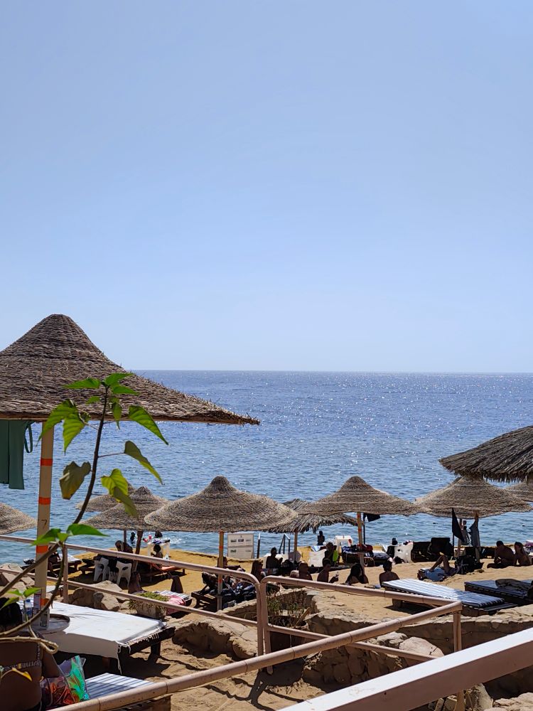 L'eau est à 28 putains de degrés.