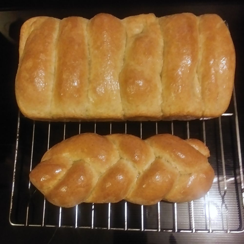 Freshly baked loaves of whole wheat bread with butter crust.