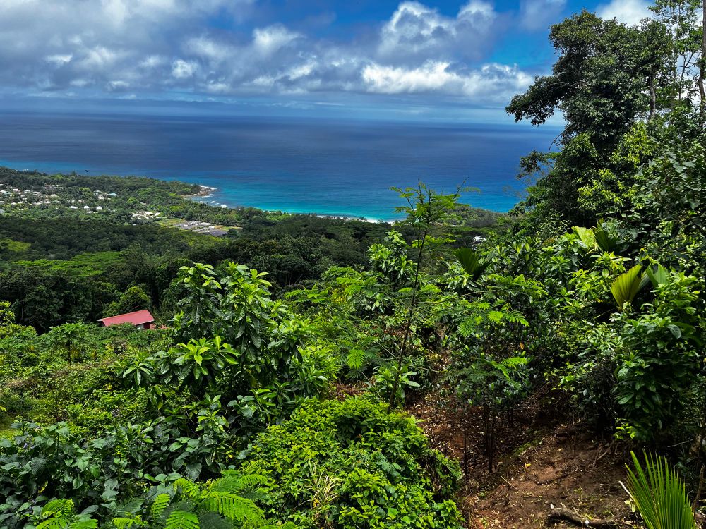 Blick auf einen tropischen Indische Ozean. Im Fordergrund üppiges Grün. In der Ferne eine kleine Siedlung. 
