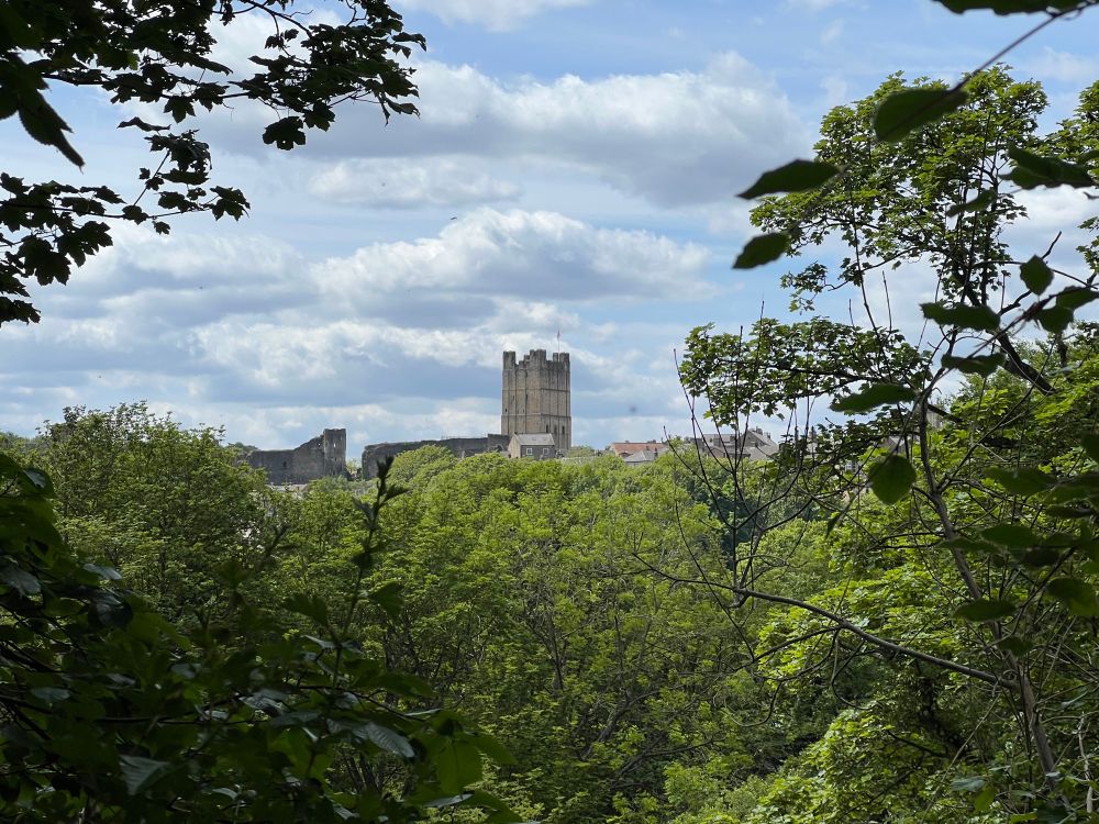 View of Richmond Castle over the River Swale. Trees in foreground and to side of castle with tower keep in middle of the image