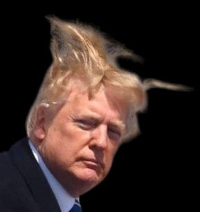 Comment image