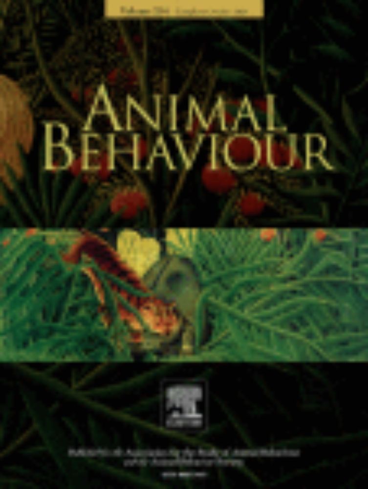 Multiyear tourism-related feeding reduces short- and long-term local space use in a marine apex predator