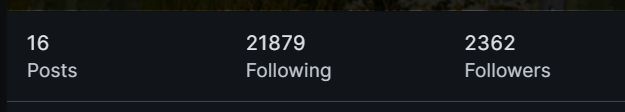 Anzeige der Informationen eines Accounts, der mir gerade gefolgt ist. 16 Posts, 21879 Followings 2362 Followers.