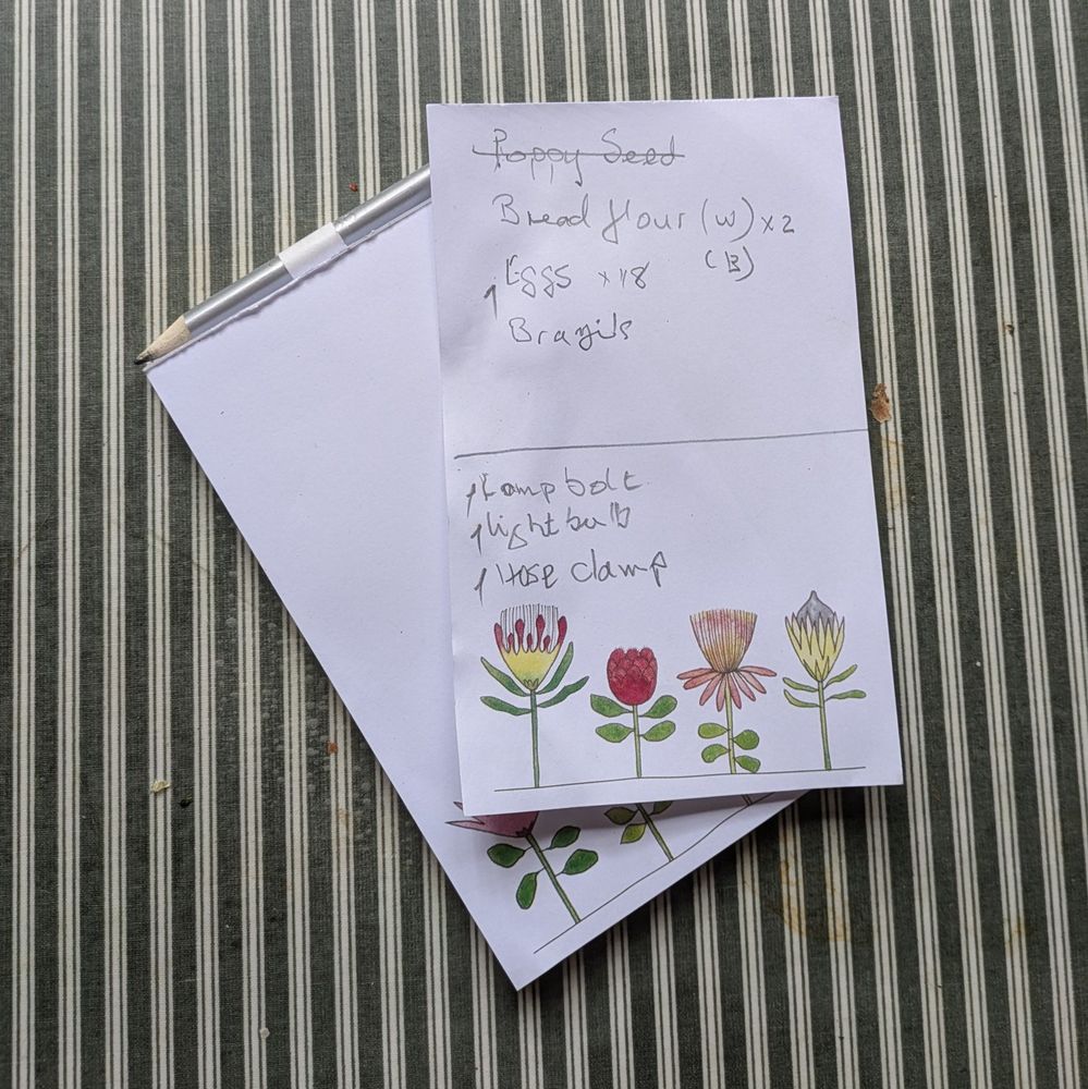 picture of a fridge notepad
with one note torn off, a list of shopping items
the pages have a line of four colorful proteas

This image ©ilinkcs (2025/11)