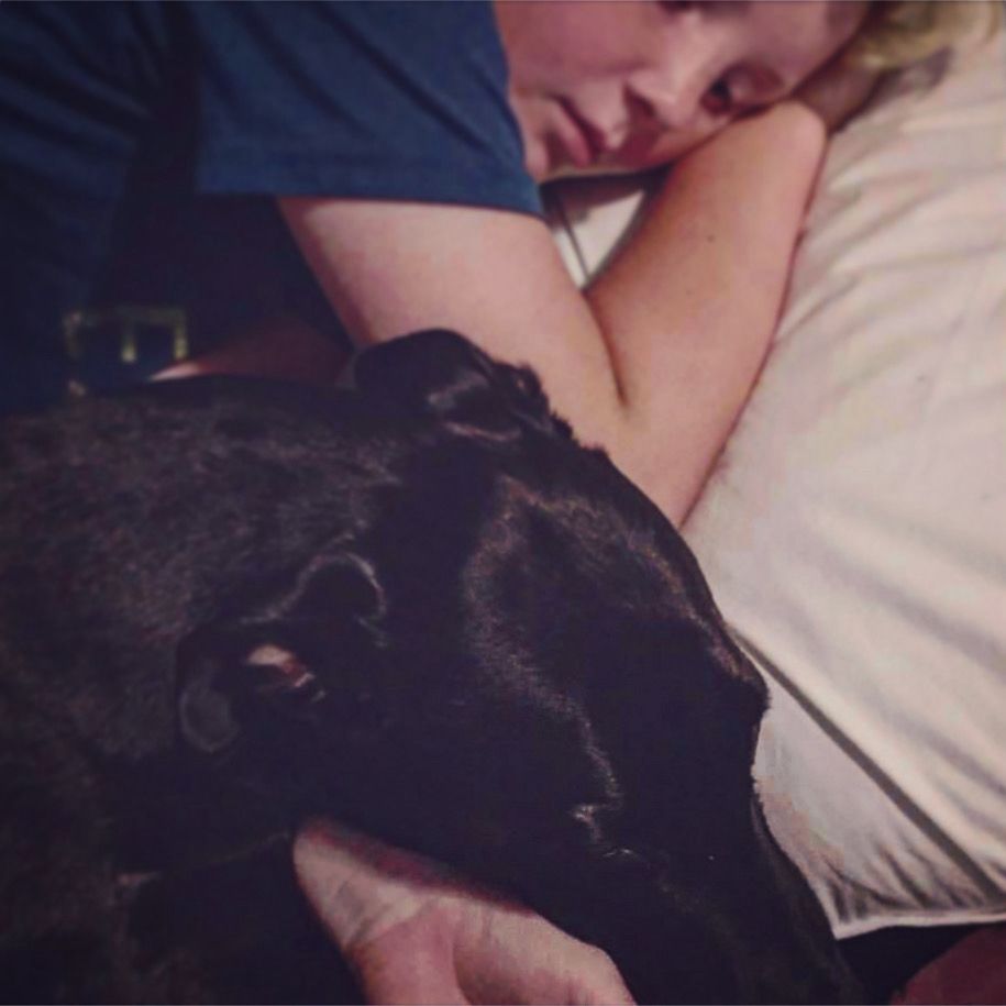 A young boy lying in bed with a black dog. Both are napping. 