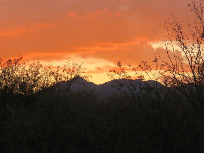 Sunset - a grapefruit-colored hue - behind mountains and budding trees in the foreground.