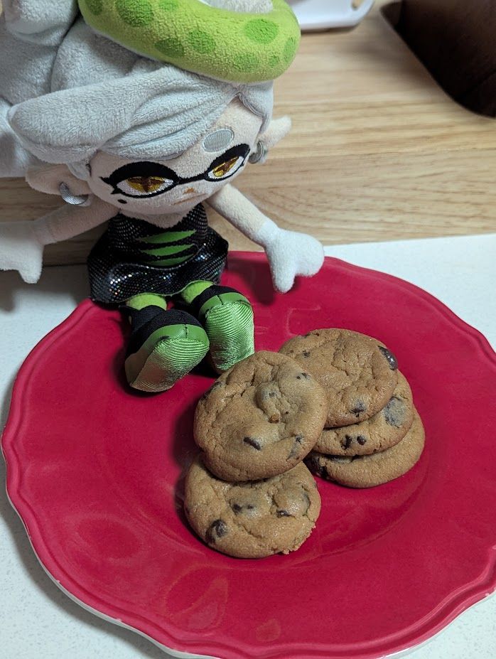 Marie Plush looks at a stack of five chocolate chip cookies. 