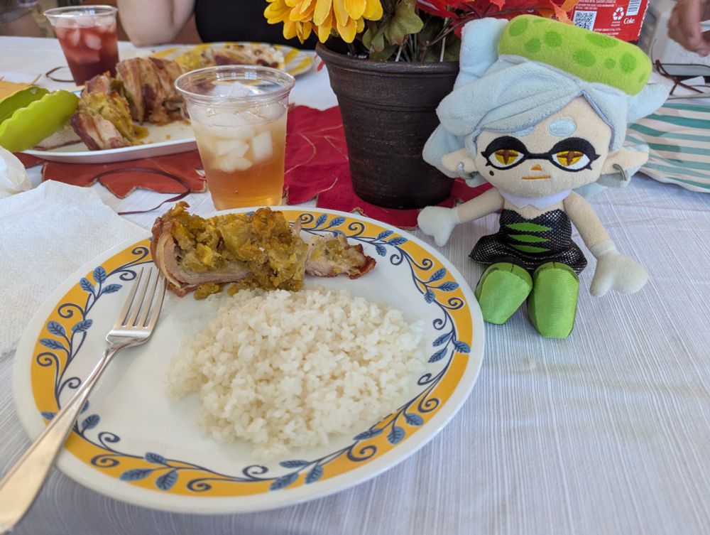 White rice and bacon-wrapped mofongo-stuffed turkey are served on a plate. Marie Plush is sitting next to the plate, looking at the camera. 
